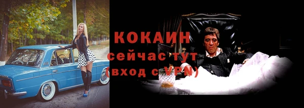 кокс Каменка