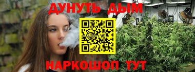 прущие грибы Краснокаменск