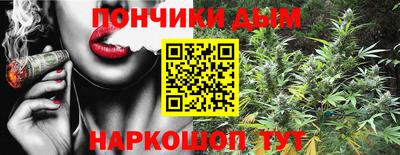 прущие грибы Краснокаменск