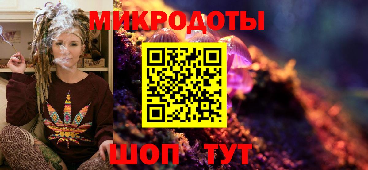 Псилоцибиновые грибы Cubensis Когалым